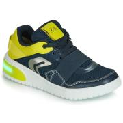 Lage Sneakers Geox J XLED BOY