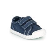 Lage Sneakers Chicco CAMBRIDGE