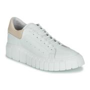 Lage Sneakers Sweet Lemon PLANTO