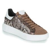 Lage Sneakers JB Martin HIBISCUS