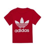 T-shirt Korte Mouw adidas TREFOIL TEE