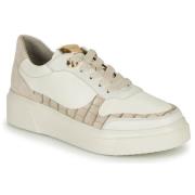 Lage Sneakers Stonefly ALLEGRA 3