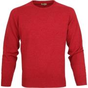 Sweater William Lockie Pullover Lamswol O Poppy Mellange
