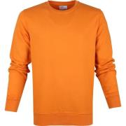 Sweater Colorful Standard Sweater Organic Oranje