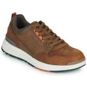 Lage Sneakers Skechers FAIRLINE