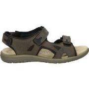 Sandalen Palmipao-Aclys Be Fly Flow S120-05-03