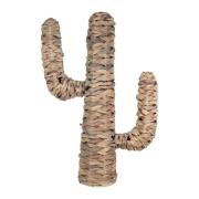 Manden en dozen Signes Grimalt Cactus