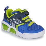 Lage Sneakers Geox J ILLUMINUS BOY