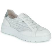 Lage Sneakers Fluchos POMPAS