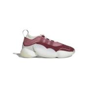 Lage Sneakers adidas Crazy Byw 2