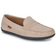 Mocassins Casual Attitude VELMO