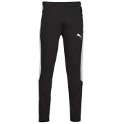 Trainingsbroek Puma EVOSTRIPE PANTS