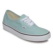 Lage Sneakers Vans AUTHENTIC