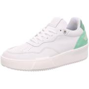 Sneakers Palpa -