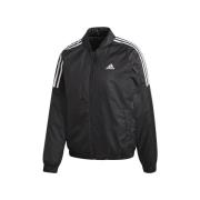 Blazer adidas -