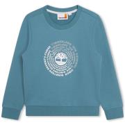Sweater Timberland T25U55-875-J