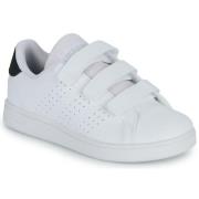 Lage Sneakers adidas ADVANTAGE CF C