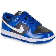 Lage Sneakers Nike DUNK LOW ESS