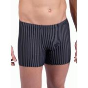 Boxers Olaf Benz Boxer RED2311
