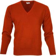 Sweater William Lockie V Lamswol