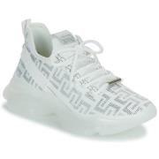 Lage Sneakers Steve Madden MAX-OUT