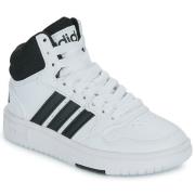 Hoge Sneakers adidas HOOPS 3.0 MID K