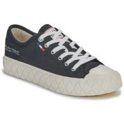 Lage Sneakers Palladium PALLA ACE CVS