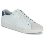 Lage Sneakers Geox U AFFILE