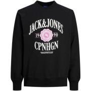 Sweater Jack &amp; Jones -