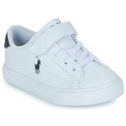 Lage Sneakers Polo Ralph Lauren THERON V PS