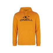 Sweater O'neill -