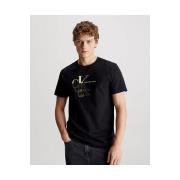 T-shirt Korte Mouw Calvin Klein Jeans J30J325352