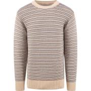 Sweater Knowledge Cotton Apparel Sweater Strepen Multicolour