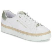 Lage Sneakers Tom Tailor 5390320023