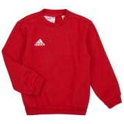 Sweater adidas ENT22 SW TOPY