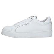 Sneakers Exton -