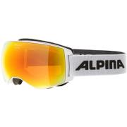Sportaccessoires Alpina -