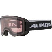 Sportaccessoires Alpina -