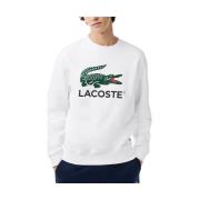 Sweater Lacoste -