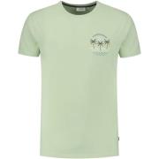 T-shirt Shiwi T-Shirt Antigua Port Dust Green