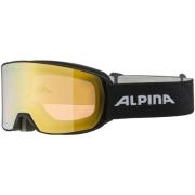 Sportaccessoires Alpina -