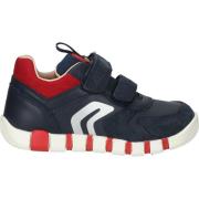 Lage Sneakers Geox Sneaker