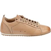 Lage Sneakers Lloyd Sneaker