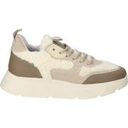 Lage Sneakers Steve Madden Sneaker