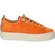 Lage Sneakers Paul Green Sneaker