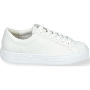 Lage Sneakers Paul Green Sneaker