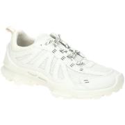 Nette Schoenen Ecco -