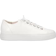 Lage Sneakers Paul Green Sneaker