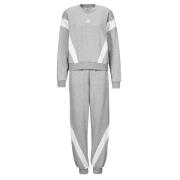 Trainingspak adidas Laziday Track Suit