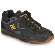 Lage Sneakers DC Shoes KALYNX ZERO